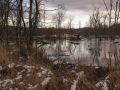 Lac créé par les castors