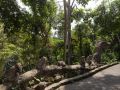 Statues de macaques sur un serpent