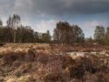 Lande le long de la route entre le Loch Ness et Fort Augustus