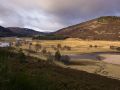 Vallée de la Dee à l'ouest de Braemar.