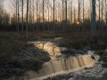 Peupleraie inondée puis prise par le gel