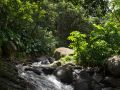 Cascade en forêt tropicale (rivière Bourceau).