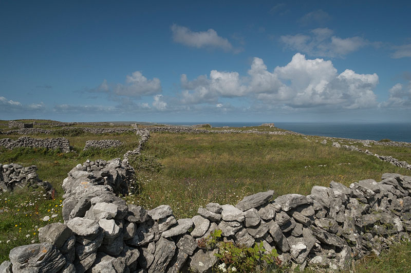 Murets de pierres (calcaire) sur la plus grande des îles d'Aran, Inis Mór
