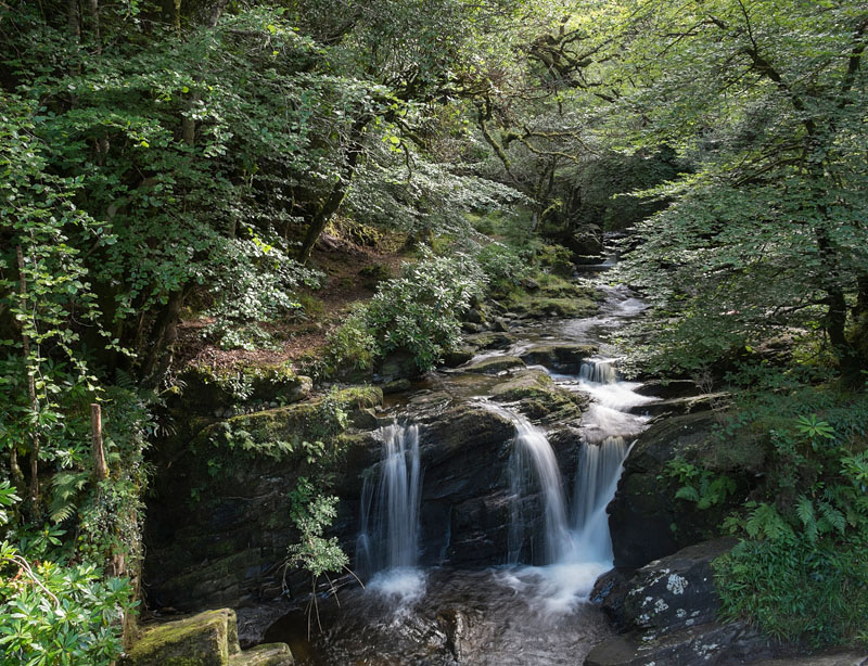 Torrent et cascade dans le parc national de Killarney.