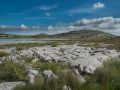 Le Burren : des dalles calcaires à perte de vue et une végétation rase balayée par les vents. "C'est un pays où il n'y a pas assez d'eau pour noyer un homme, pas assez d'arbres pour le pendre, pas assez de terre pour l'enterrer."