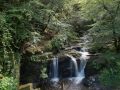 Torrent et cascade dans le parc national de Killarney.